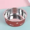 Stainless Paws