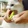 NailBeam