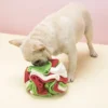 SniffBall