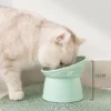 ComfortFeed
