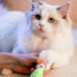 NailShine