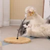 SpringSwing