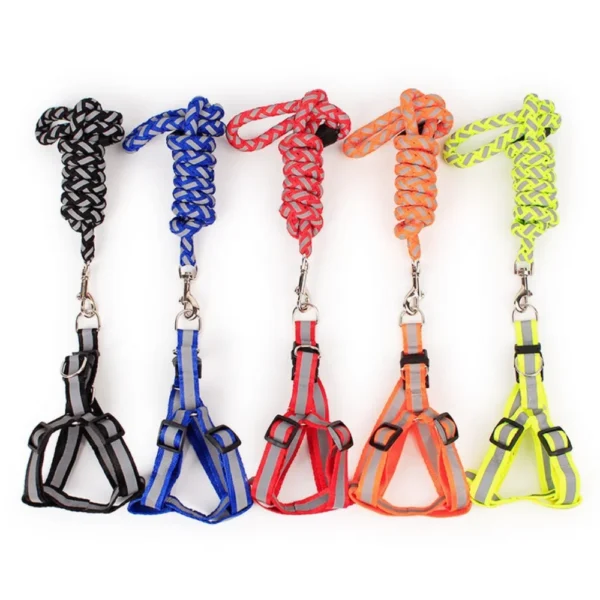 kf-S79336df4d4fb4fb0840940ed4a9c8a0fk-Pet-reflective-woven-traction-rope-dog-rope-pet-chest-back-dog-supplies-dog-leash-dog-accessories BeamLead