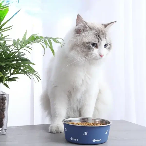 Stainless Paws