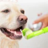 TriClean