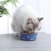 Stainless Paws