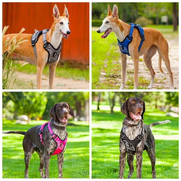 kf-Seaa7e86d68734057949400a0bbde9573T-Pet-Harness-Reflective-Dog-Harness-Vest-Adjustable-Safety-Lead-Straps-for-Medium-Large-Dogs-French-Bulldog-1 LumiPup