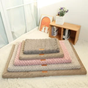 QuilTeddy