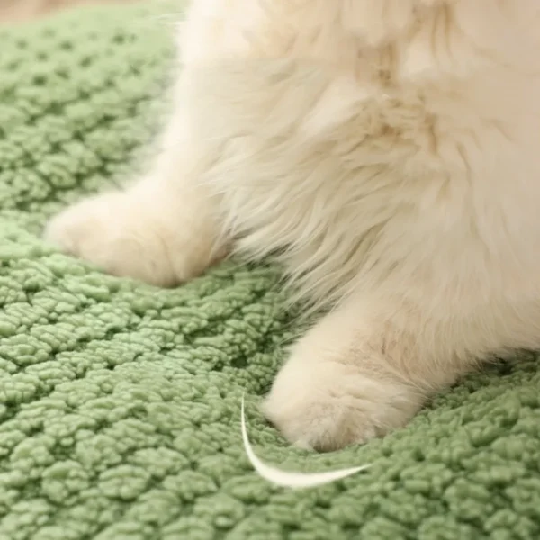 kf-Sfd18362b254b400e974bfa6520676d6cN-Cat-Bed-House-Kennel-Nest-Frog-Shaped-Pets-Sleeping-Cave-Kitten-Beds-Pet-Basket-Cozy-Kitten-1 FrogBed